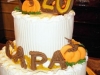 capa_2011_anniversary_cake